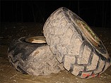FIRESTONE Photo #4