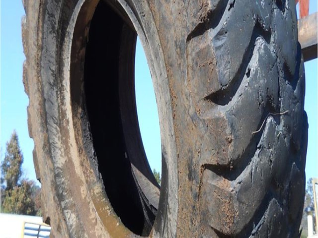 FIRESTONE 33.5X39 Photo