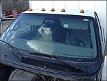 FORD F650