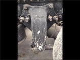 FREIGHTLINER COLUMBIA 120 Photo #13