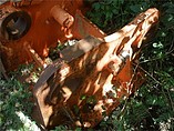 CATERPILLAR 245 Photo #2
