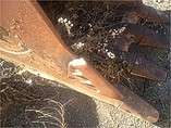 DAEWOO 340 Photo #3