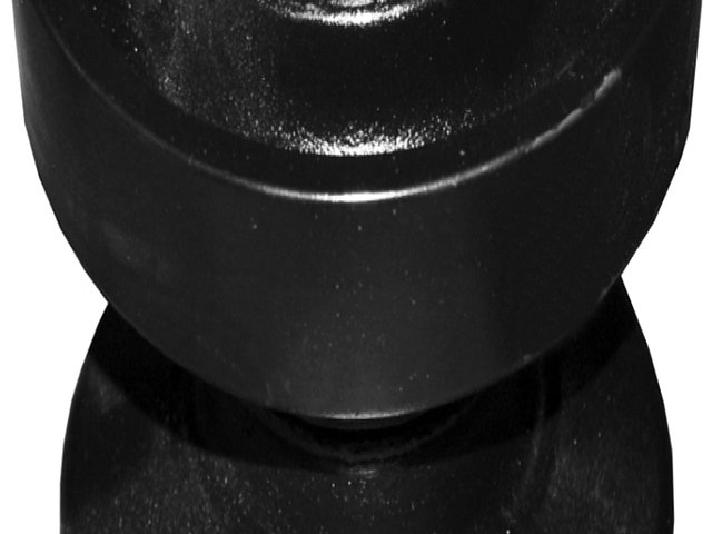 MUSTANG MTL16 Photo