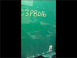 PETERBILT 387 Photo #5