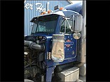 PETERBILT 379