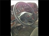 PETERBILT 387 Photo #12