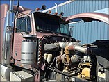 PETERBILT 379 Photo #7