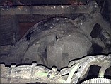 MERITOR RS23160