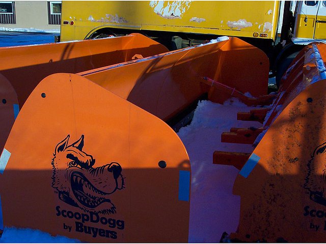 SCOOP DOGG 2601116