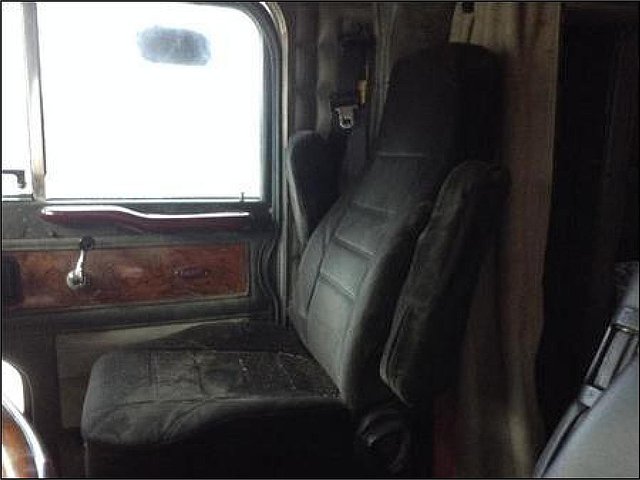 PETERBILT 379 Photo