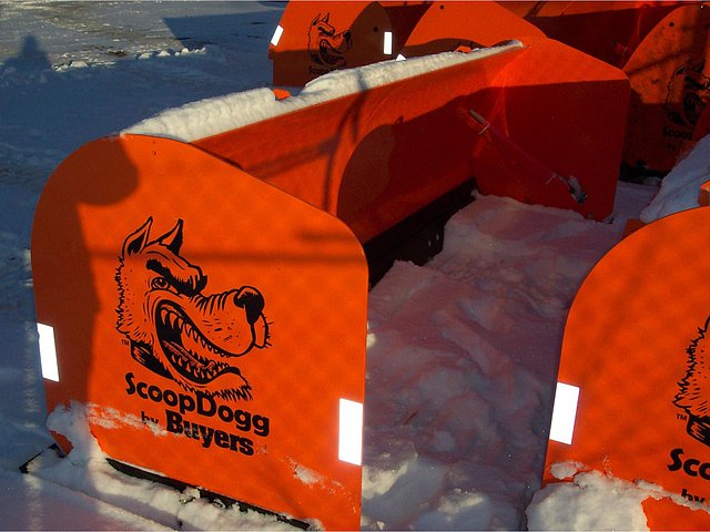 SCOOP DOGG 2613110 Photo
