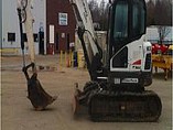 10 BOBCAT E80
