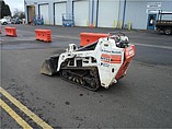 11 BOBCAT MT55