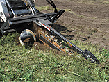 BOBCAT Photo #7