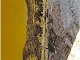 CASE 521D Photo #4