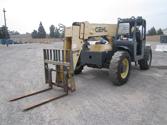 2007 GEHL RS6-42 Photo