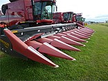 08 DRAGON 1230