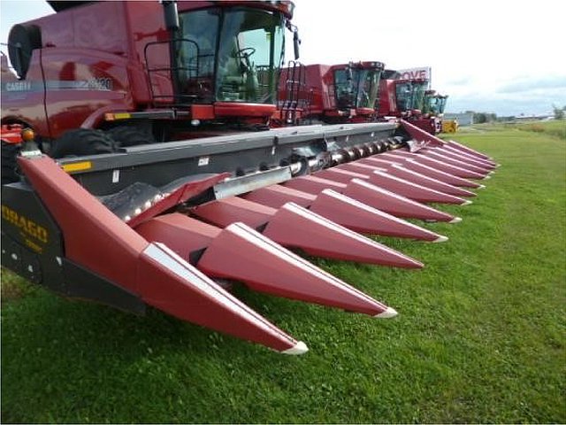 2008 DRAGON 1230 Photo