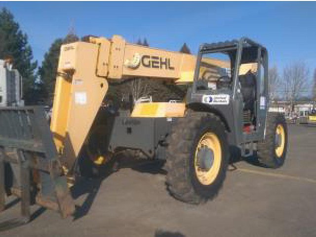 2007 GEHL RS6-42 Photo