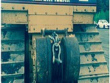 2003 CATERPILLAR D6R LGP Photo #8