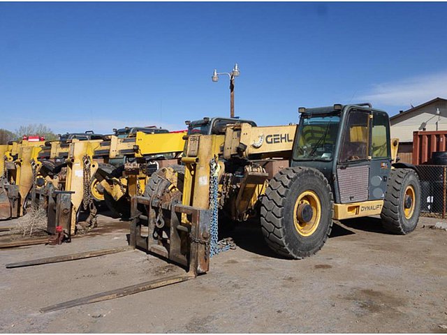 2007 GEHL DL12H40 Photo