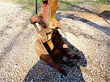 2005 DITCH WITCH MX15 Photo #8