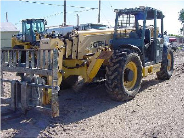 2007 GEHL DL10H55 Photo