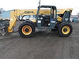 07 GEHL RS6-42