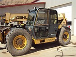 06 GEHL DL12H