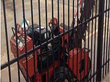 2010 DITCH WITCH RT12 Photo #4