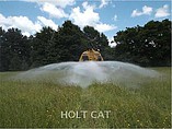2013 CATERPILLAR 725 Photo #5