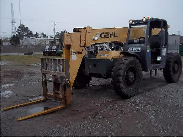 2007 GEHL RS6-42 Photo