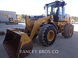 2009 CATERPILLAR 928HZ Photo #1
