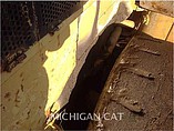 1979 CATERPILLAR 988 Photo #18
